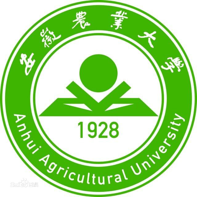 2023�����r�I��W��ʡ�ȡ�֔������� ���ƌ��I�����P�c
