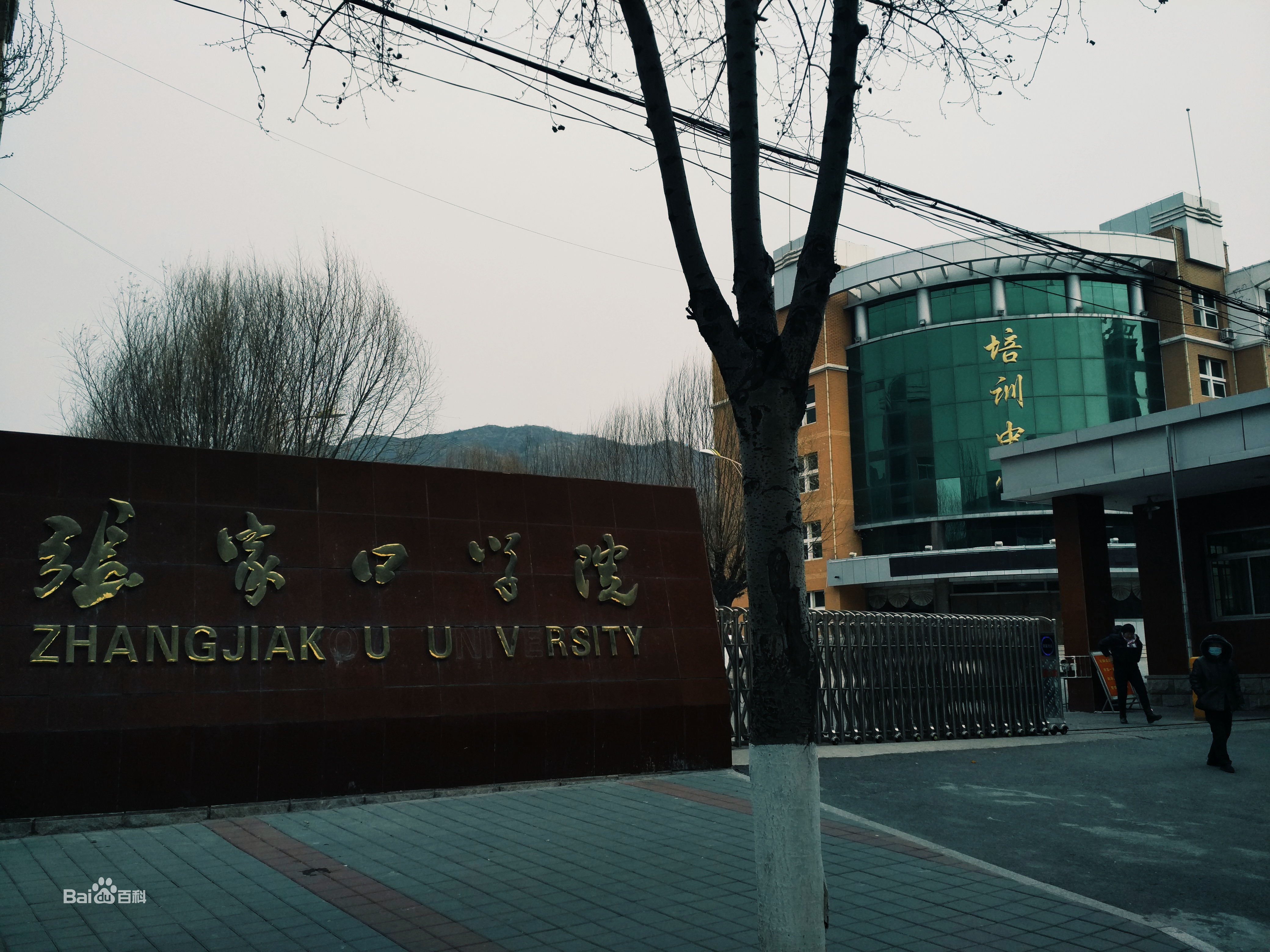 ���ҿڌW(xu��)Ժ�ǎױ���ô�ӣ�2023���ҿڌW(xu��)Ժ��?j��n)?sh��)���Ƕ��٣�